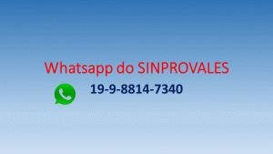 Whatsapp do SINPROVALES